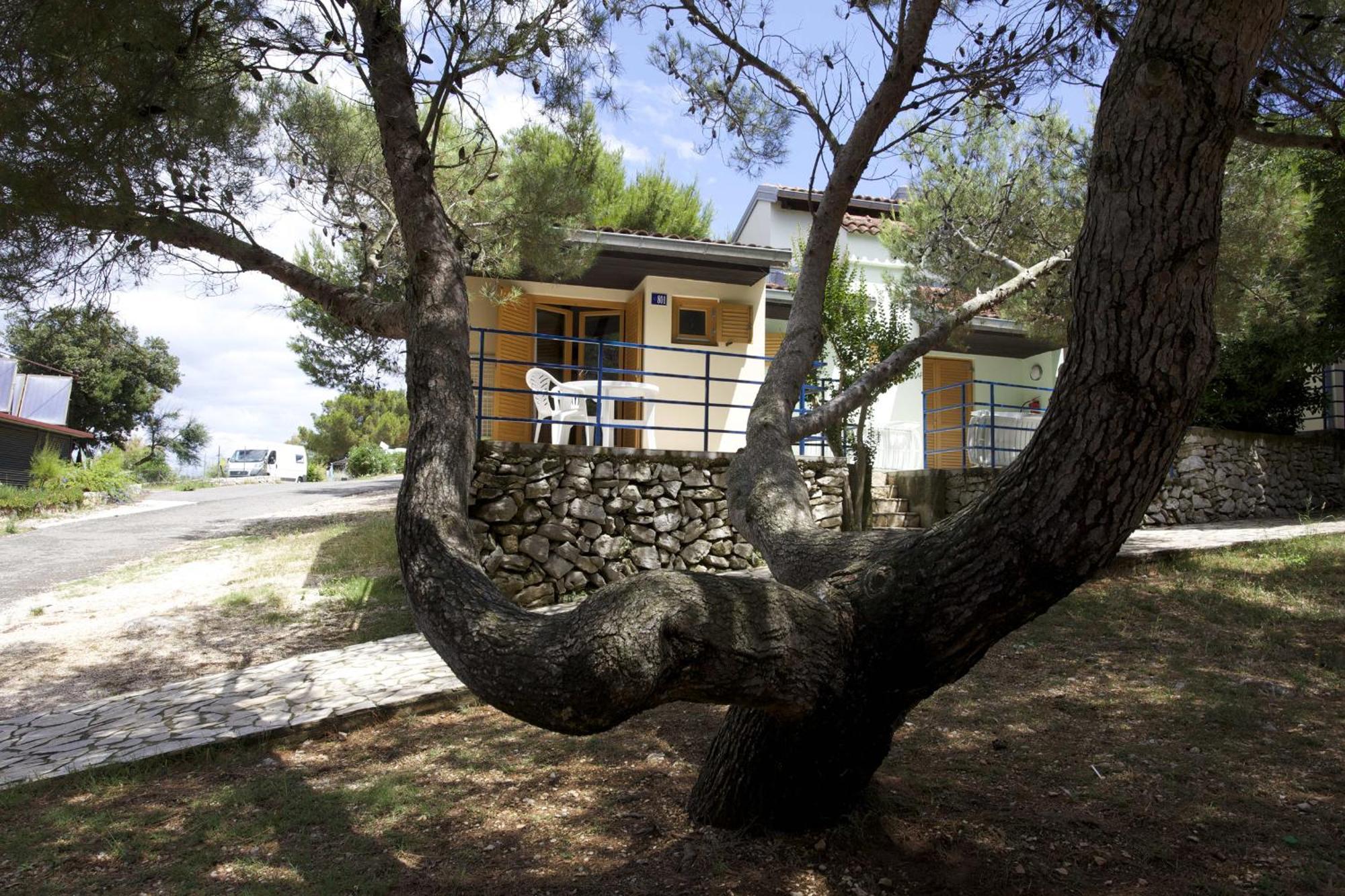 Camping Village Poljana Mali Losinj Ruang foto